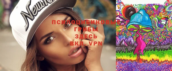прущие крисы Армянск