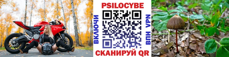 Галлюциногенные грибы мицелий  наркошоп  Тосно 